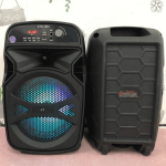 Portable Wireless Speaker with Karaoke Mic KTS -1061