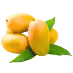 Mango Dasheri 1kg to 5kg