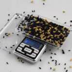 500g X 0.1g Mini Electronic Digital Jewelry & Kitchen Scale - Image 4