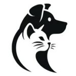 Pets Accessories
