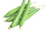 Snake gourd (Ghia Tori) 1KG to 5KG - Image 2