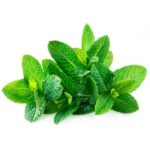 Mint (Pudina) 1 Bunch